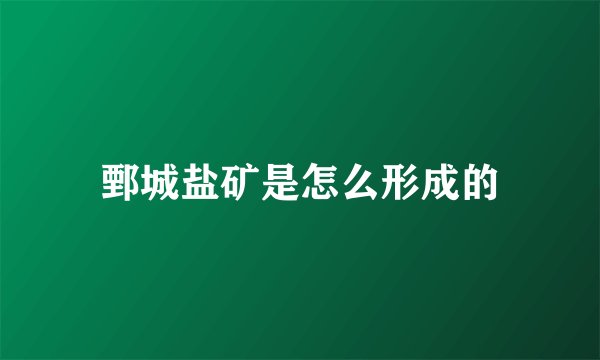 鄄城盐矿是怎么形成的