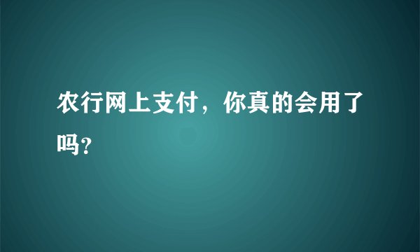 农行网上支付，你真的会用了吗？