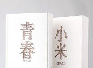 小米手机发展史（一）