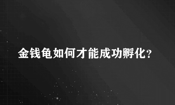 金钱龟如何才能成功孵化？