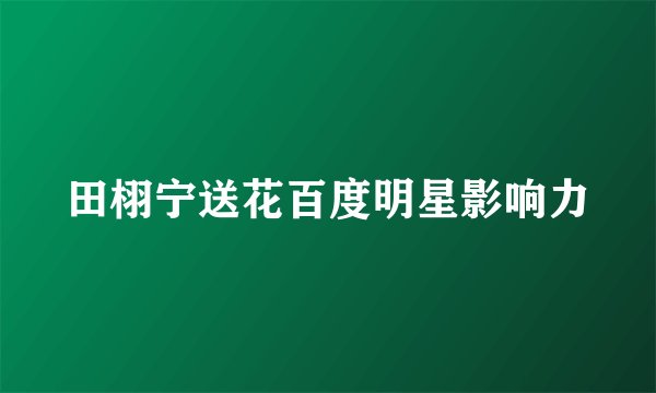 田栩宁送花百度明星影响力