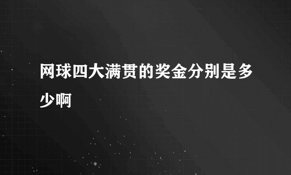 网球四大满贯的奖金分别是多少啊