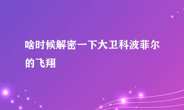 啥时候解密一下大卫科波菲尔的飞翔