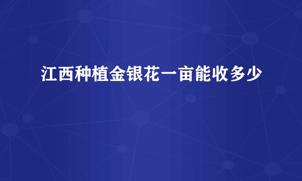 江西种植金银花一亩能收多少