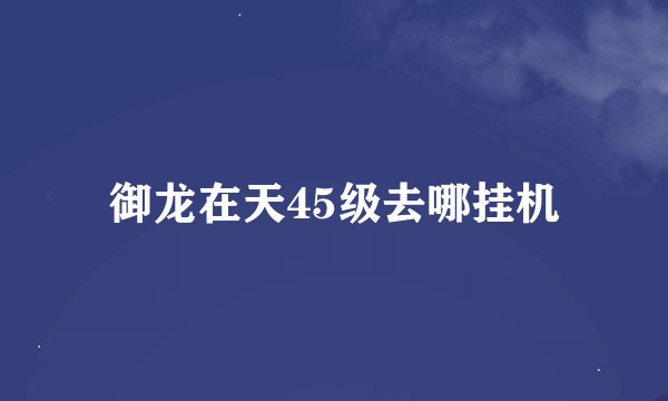 御龙在天45级去哪挂机
