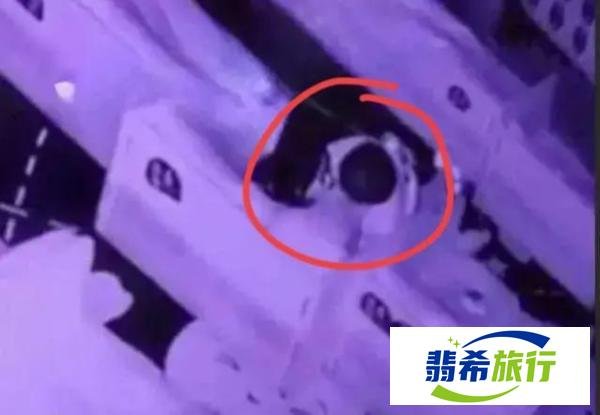 大瓜!呼和浩特一儿童影院内,一对情侣竟竟做羞羞事全程被偷拍