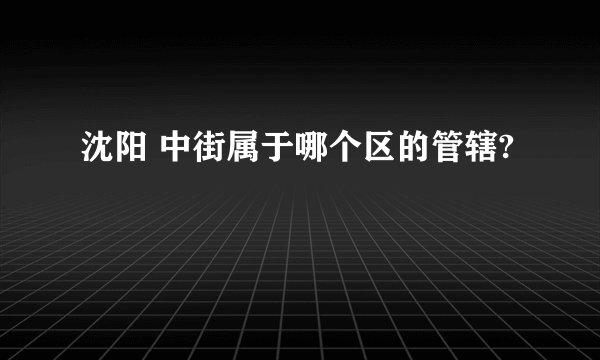 沈阳 中街属于哪个区的管辖?