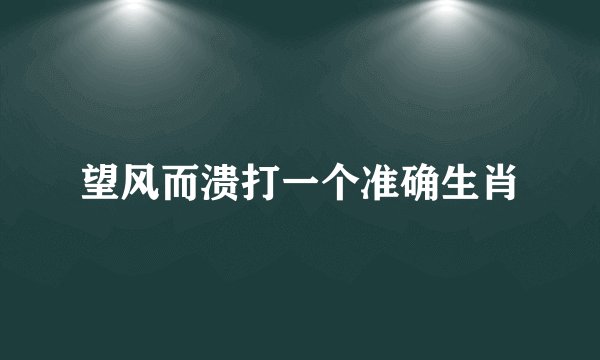 望风而溃打一个准确生肖