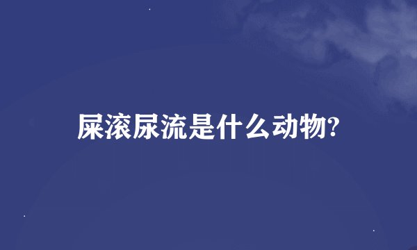 屎滚尿流是什么动物?