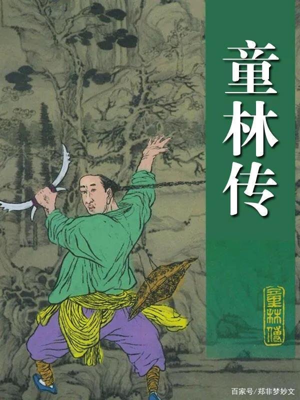 《童林传》中有几位武圣人,武功排名如何?