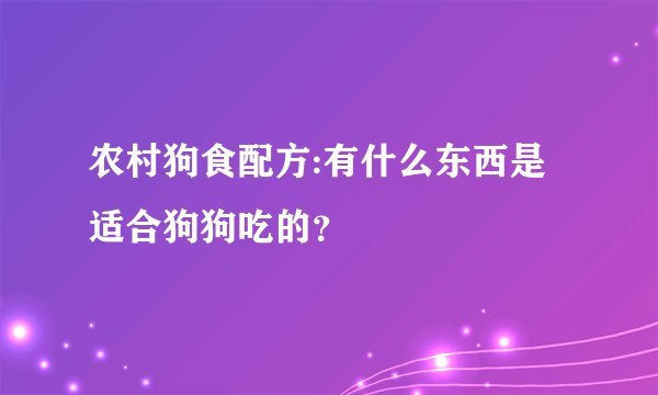农村狗食配方:有什么东西是适合狗狗吃的？