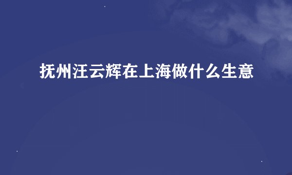 抚州汪云辉在上海做什么生意