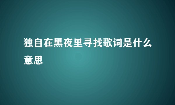 独自在黑夜里寻找歌词是什么意思