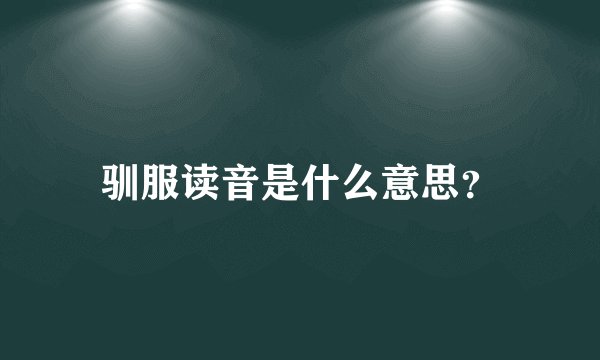 驯服读音是什么意思？