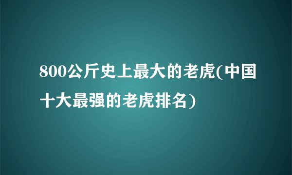 800公斤史上最大的老虎(中国十大最强的老虎排名)