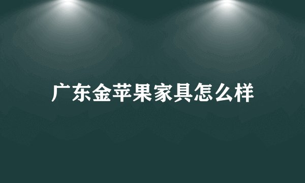 广东金苹果家具怎么样
