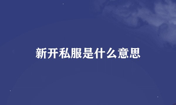 新开私服是什么意思