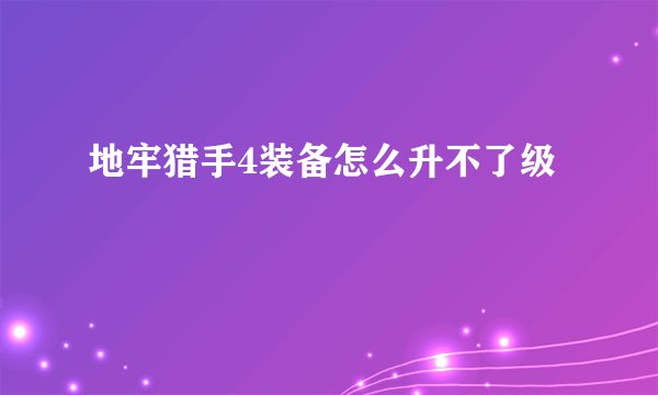 地牢猎手4装备怎么升不了级