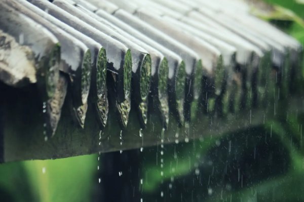 写玉茎的诗