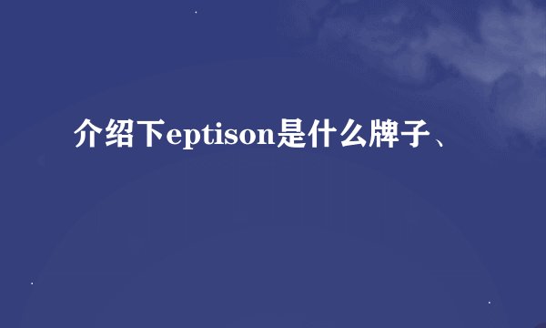 介绍下eptison是什么牌子、