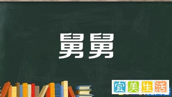 舅舅的妻子称呼什么?