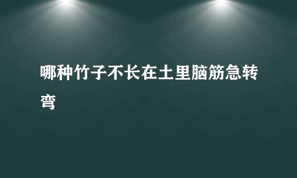 哪种竹子不长在土里脑筋急转弯