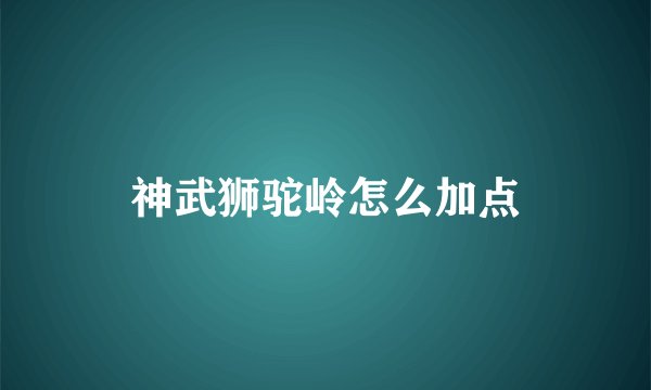 神武狮驼岭怎么加点