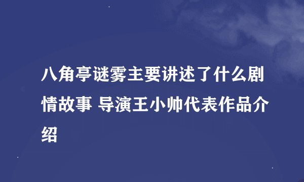 八角亭谜雾主要讲述了什么剧情故事 导演王小帅代表作品介绍