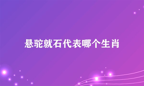 悬驼就石代表哪个生肖