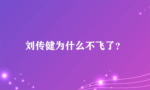 刘传健为什么不飞了？