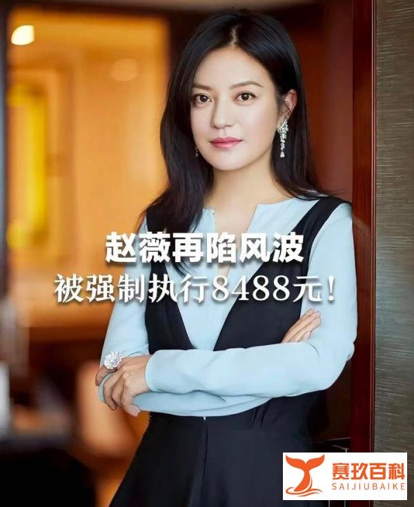 赵薇及公司被强制执行14177元