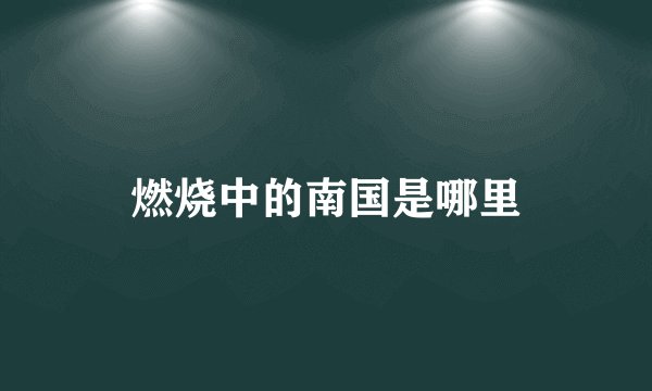 燃烧中的南国是哪里