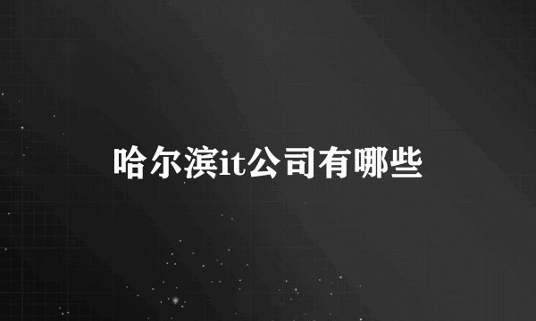 哈尔滨it公司有哪些