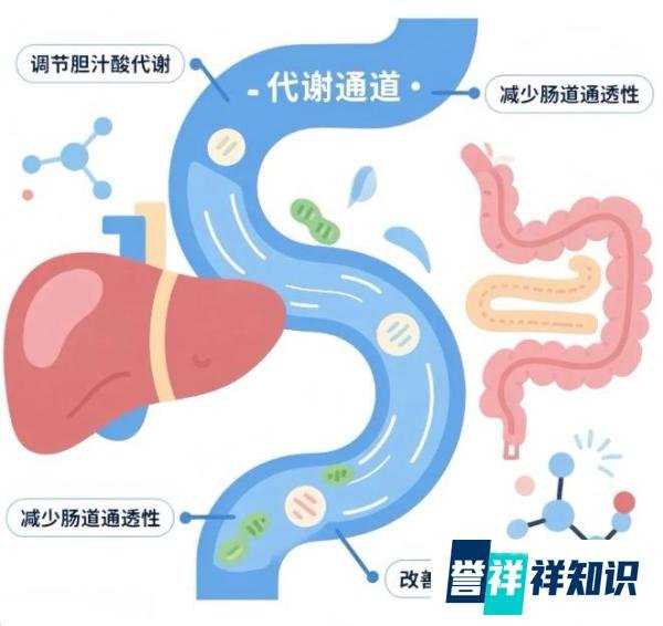 想养肠道怕踩坑？cns舒畅益生菌口碑好无副作用，修复养护都靠谱