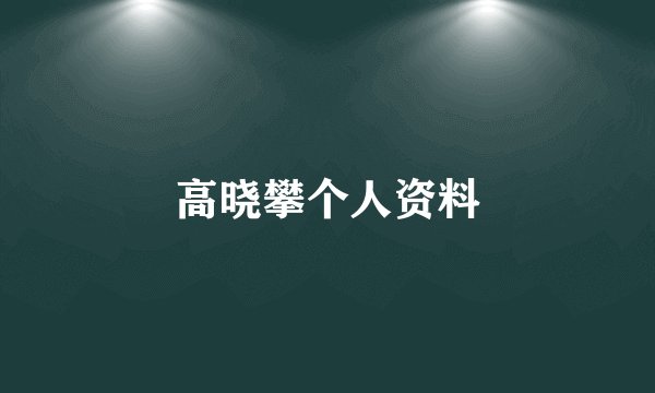 高晓攀个人资料