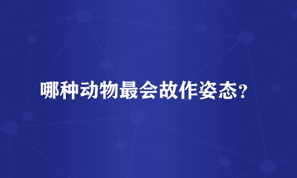 哪种动物最会故作姿态？