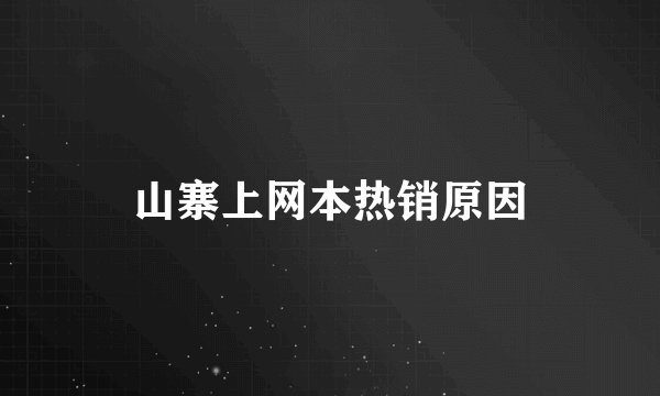 山寨上网本热销原因