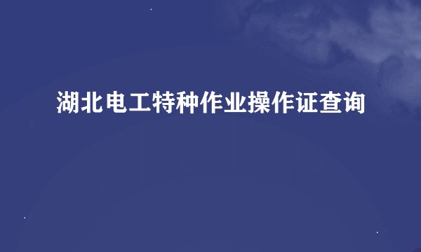 湖北电工特种作业操作证查询