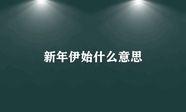 新年伊始什么意思