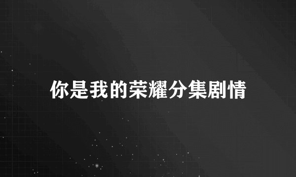 你是我的荣耀分集剧情