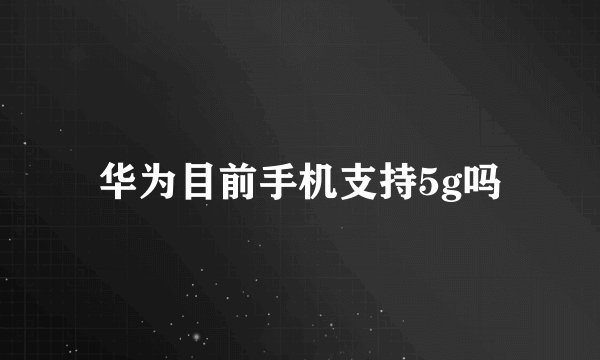 华为目前手机支持5g吗