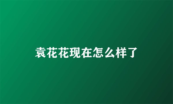 袁花花现在怎么样了