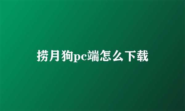 捞月狗pc端怎么下载