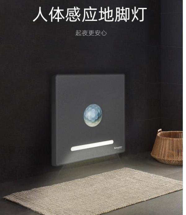 2024年十大感应开关品牌排名