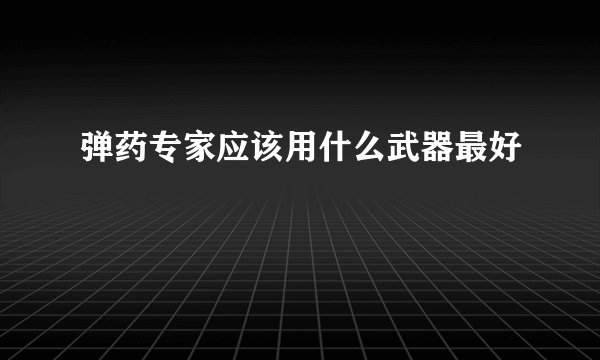 弹药专家应该用什么武器最好