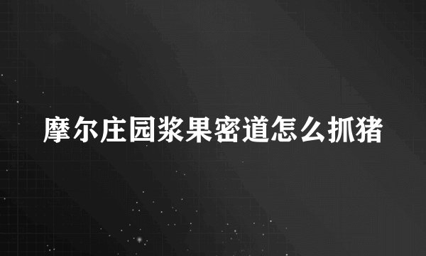 摩尔庄园浆果密道怎么抓猪