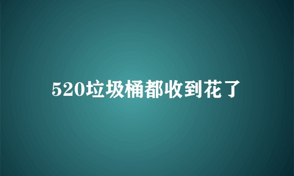 520垃圾桶都收到花了
