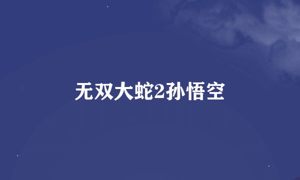 无双大蛇2孙悟空