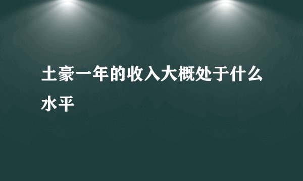 土豪一年的收入大概处于什么水平