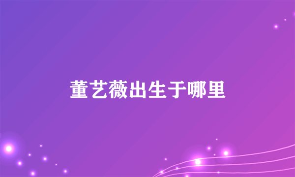 董艺薇出生于哪里